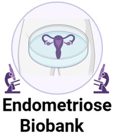 Lichaamsmateriaal uit operatie voor onderzoek naar endometriose